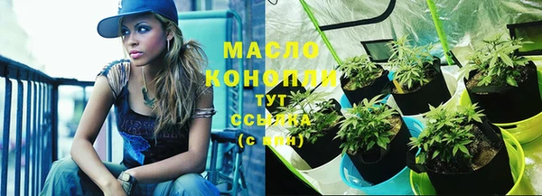 тгк Осинники