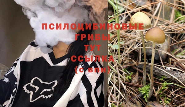 спиды Осташков